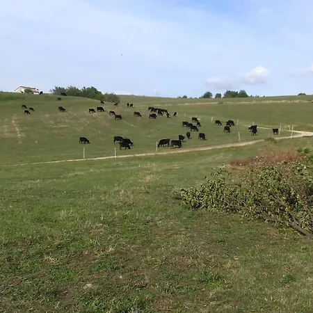 مزرعة للإقامة Agriturismo Preele Ferrara di Monte Baldo