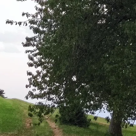 Agriturismo Preele Lantgård